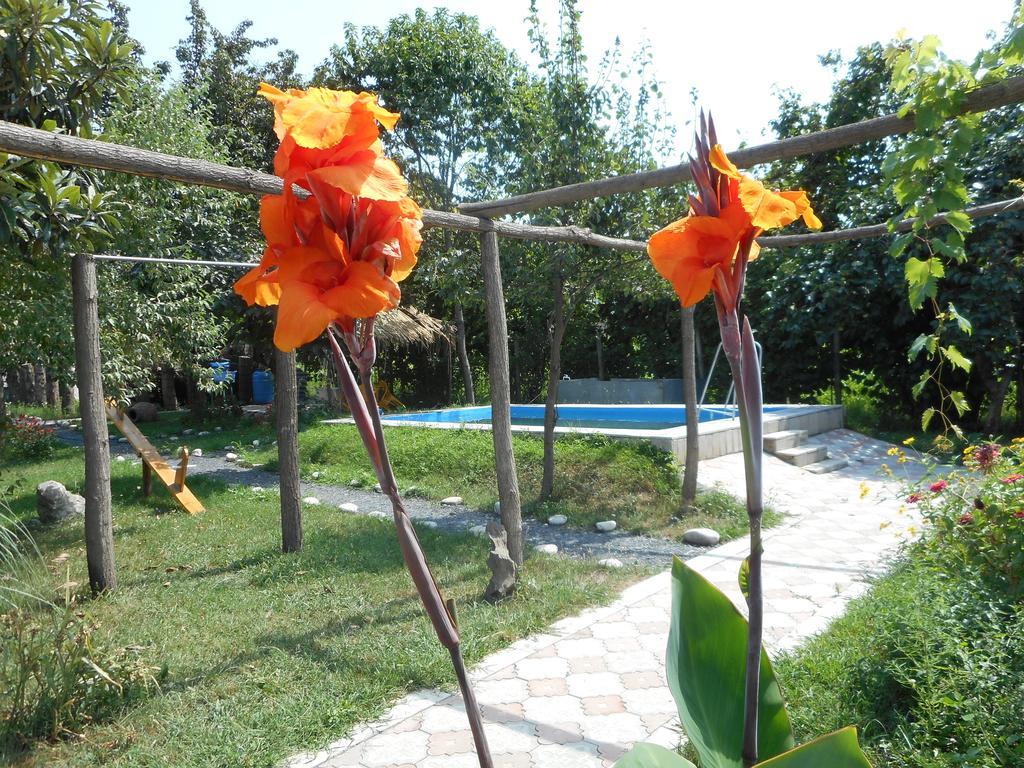 Nona Guest House Shilda Luaran gambar